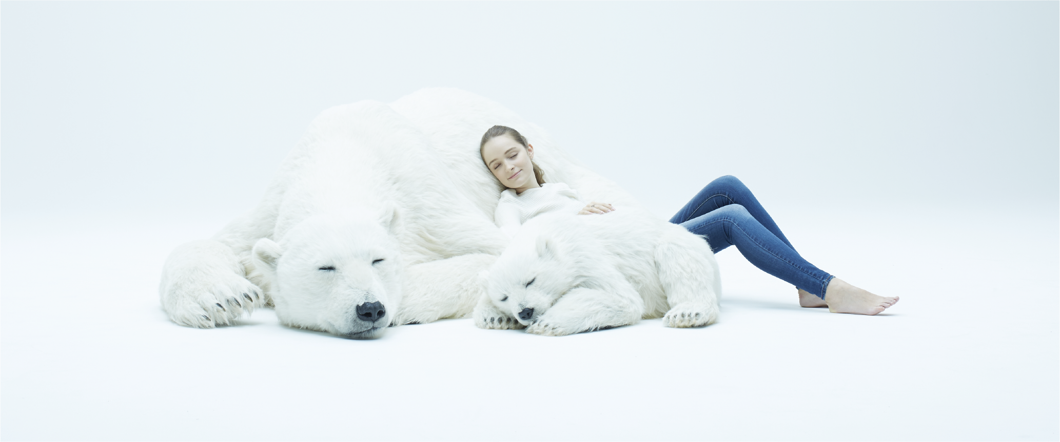 アクリル画　さすらうシロクマ シロクマ | 絵画販売 インテリアアート専門通販 This Is Gallery